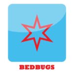 Chicago Bedbug Ordinance
